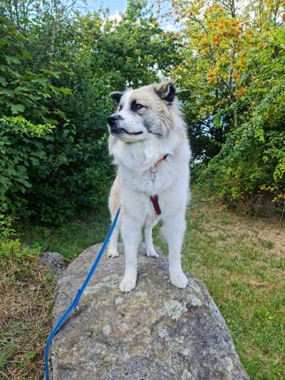 Doppelgänger gesucht !-Beitrag-Bild