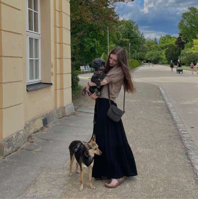 Hundetreffen-Hundetreffen mit Spieleinheiten-Profilbild