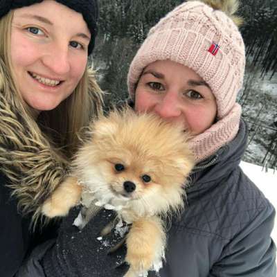 Hundetreffen-Gassirunde-Profilbild