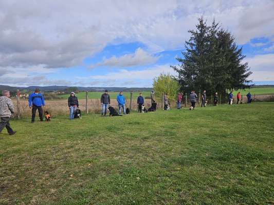 Hundeschulen-Hundesportverein Neuhaus-Schierschnitz-Bild