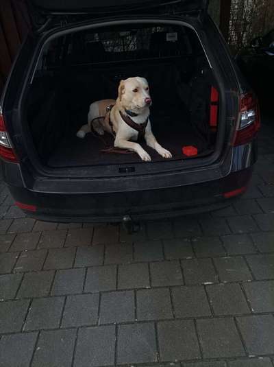 Mailo steigt nicht mehr ins Auto-Beitrag-Bild