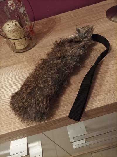 Schleppleine - Fluch statt Segen!-Beitrag-Bild