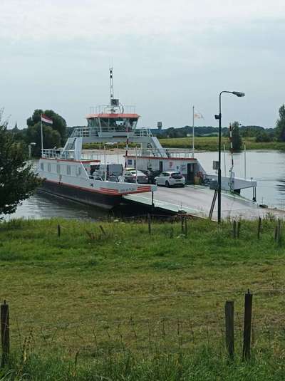 Mit Fahrradanhänger unterwegs?-Beitrag-Bild