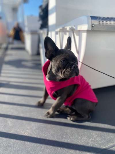 Fotochallenge 101:
On Tour-Beitrag-Bild