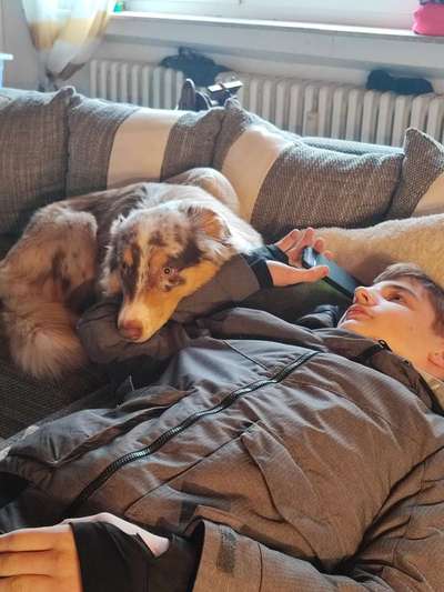 FOTOCHALLENGE 68: Dein Hund und sein bester Freund-Beitrag-Bild