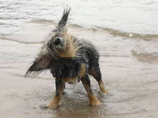 Foto Challenge - BEENDET - bitte aktuelle Challenge nutzen-Beitrag-Bild