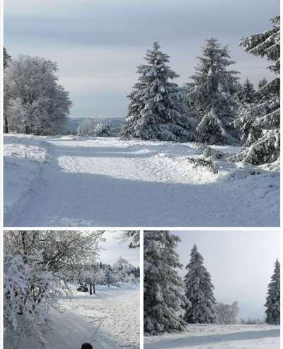 Foto Challenge - BEENDET - bitte aktuelle Challenge nutzen-Beitrag-Bild