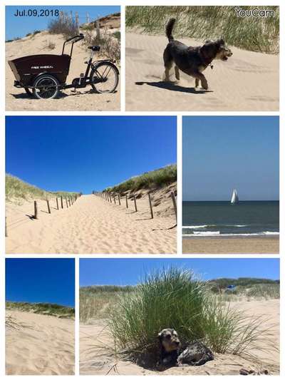 Tagesausflug an den Strand-Beitrag-Bild