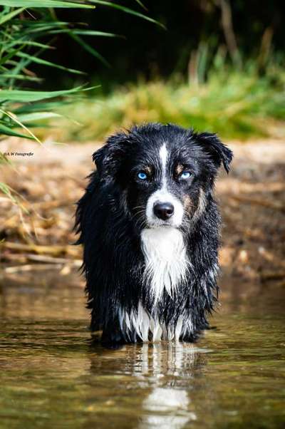 Doppelgänger gesucht !-Beitrag-Bild
