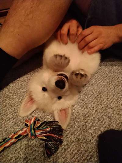 Sie werden so schnell erwachsen ...-Beitrag-Bild