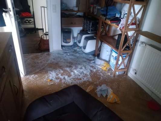 Geschreddert!-Beitrag-Bild