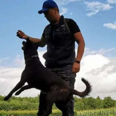 Hundeschulen-Martin Farl Hundetraining-Bild