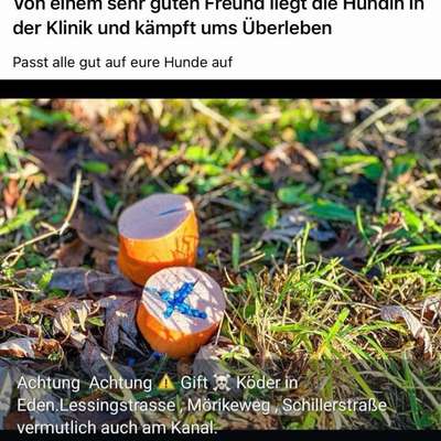 Giftköder-Giftköder-Bild