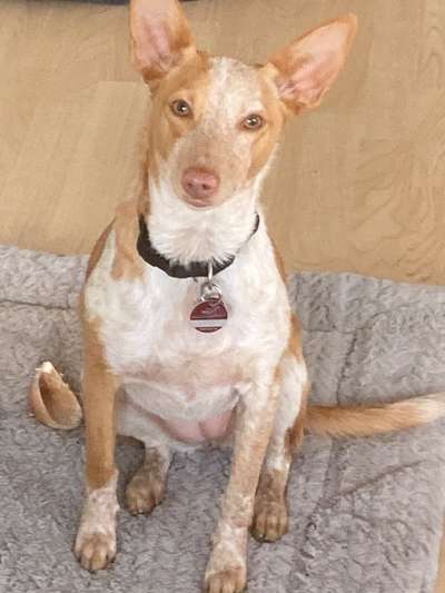 Lieblingsbild :D-Beitrag-Bild