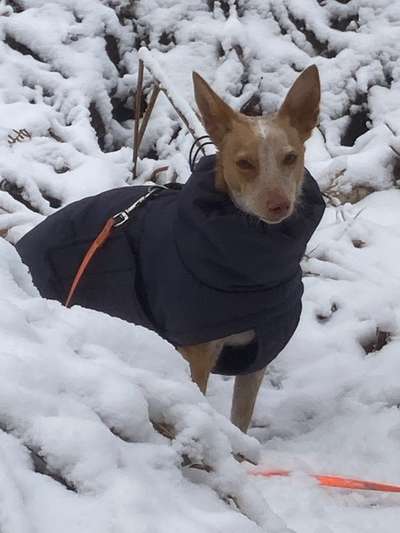 Handy-Foto-Challange Nr.9-Beitrag-Bild