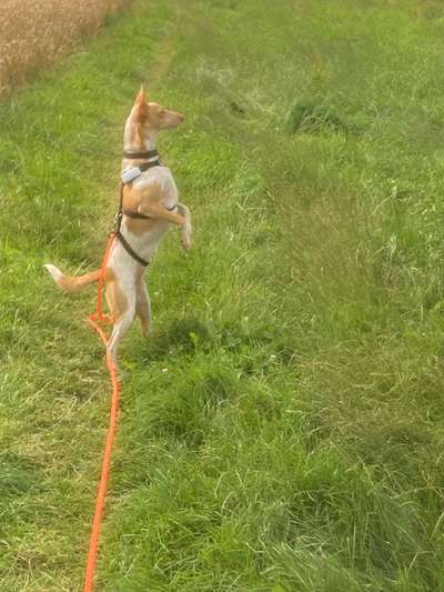 42.Fotochallenge - Eure schönen Momente beim Spaziergang-Beitrag-Bild