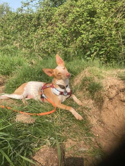 Fotowettbewerb Natur-Beitrag-Bild