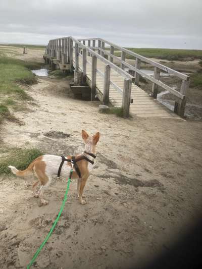 Eure Strandbilder :)-Beitrag-Bild