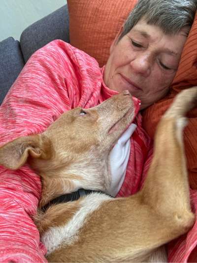 Hundmenschfotos-Beitrag-Bild