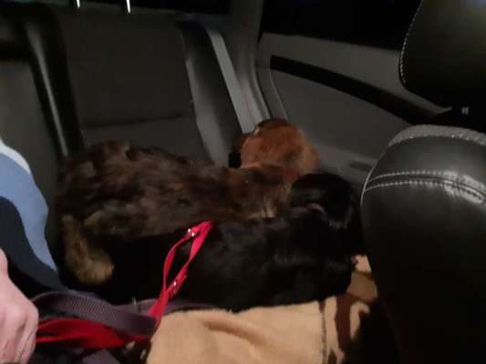 Das erste Foto-Beitrag-Bild