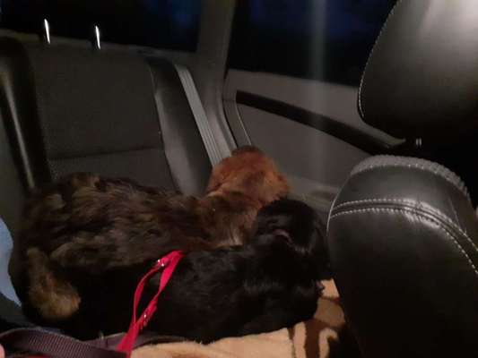 Das erste Foto-Beitrag-Bild