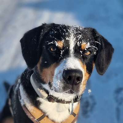 Weitere Unternehmen-Versicherungsmakler Alexander M.Kafka GmbH-Bild