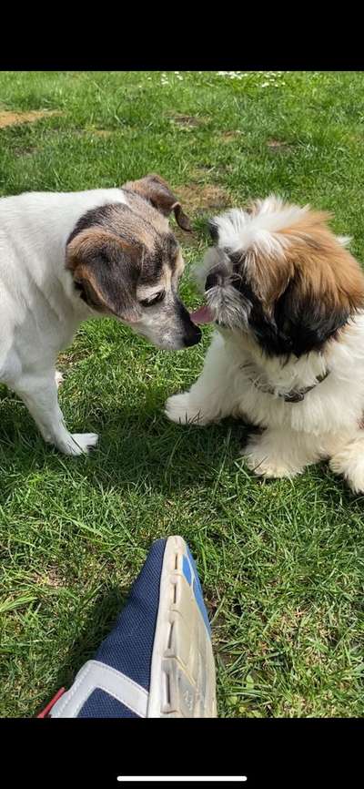 Fotochallenge liebespaare-Beitrag-Bild