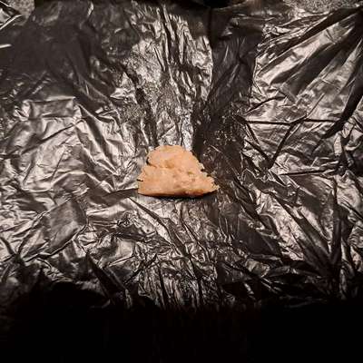 Giftköder-Giftköder-Bild