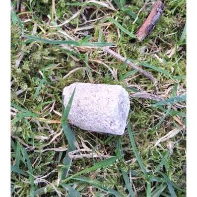 Giftköder-Giftköder, Vivawest Siedlung Mülheim, Stettiner, Kösliner, Boverstr.-Bild