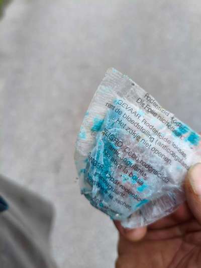 Giftköder-Rattengift-Bild