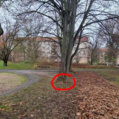 Giftköder-Evtl Gift-Bild