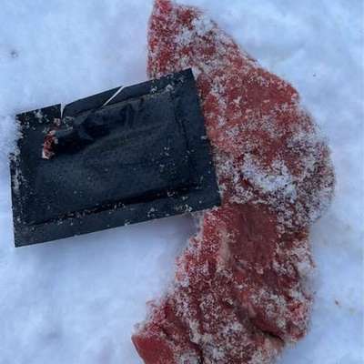 Giftköder-Giftköder-Bild