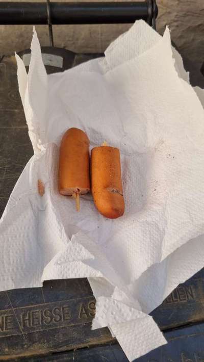 Giftköder-Würstchen mit Holzspieß-Bild