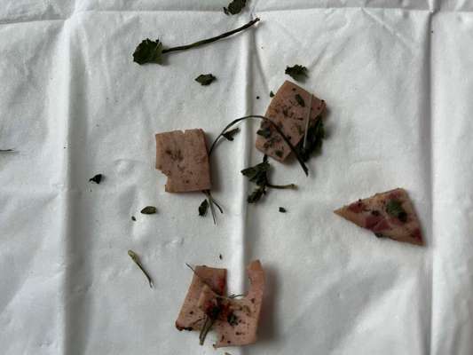 Giftköder-Wurststücke ggf. mit Gift-Bild