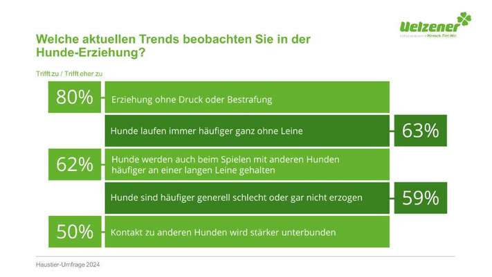 🐕 Diskussion: Hundeerziehung im Wandel – Eure Erfahrungen? 🐾-Beitrag-Bild