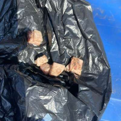 Giftköder-Giftköder-Bild