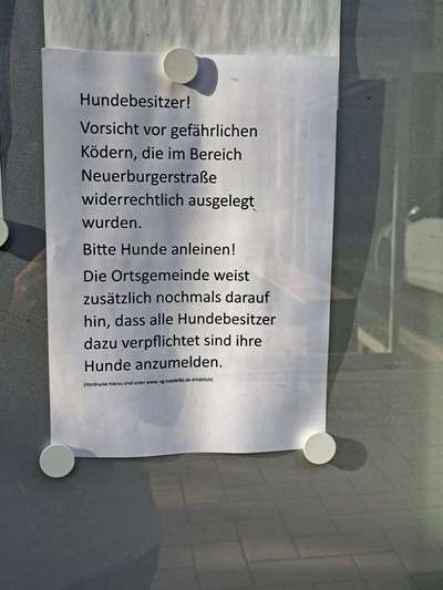Giftköder-Giftköder-Bild