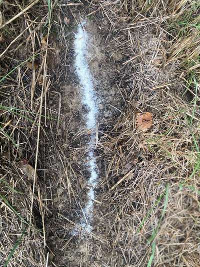 Giftköder-Weißes Pulver mehrfach entdeckt -Bild