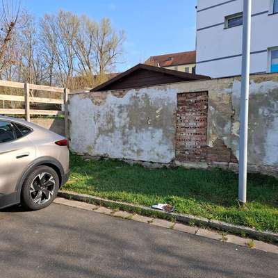 Giftköder-Möglicherweise Giftköder-Bild