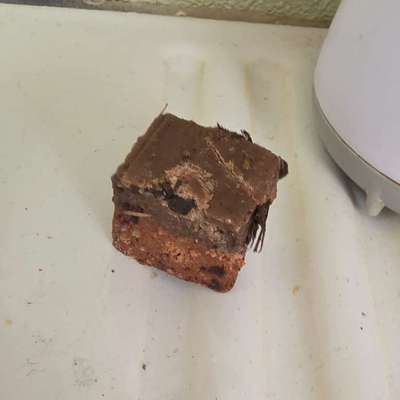 Giftköder-Giftköder-Bild