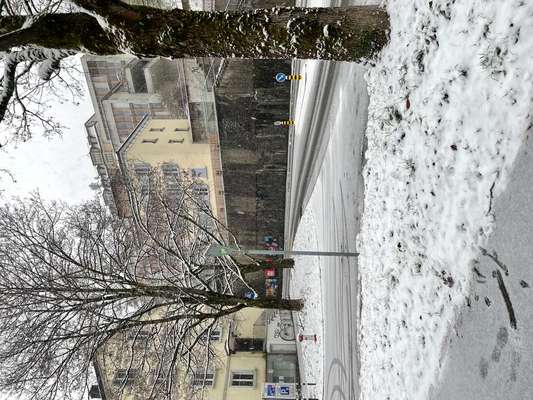 Giftköder-Wurstscheiben verteilt (vmtl Giftköder?)-Bild