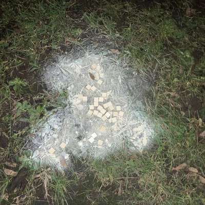 Giftköder-Weißes Pulver und Stücke -Bild