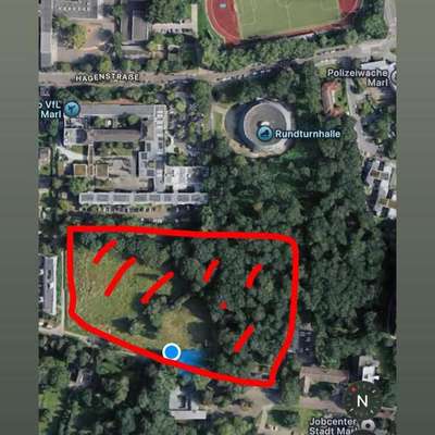 Giftköder-Giftköder -Bild