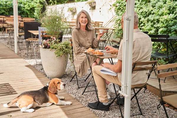 Gehören Hunde ins Restaurant?-Beitrag-Bild