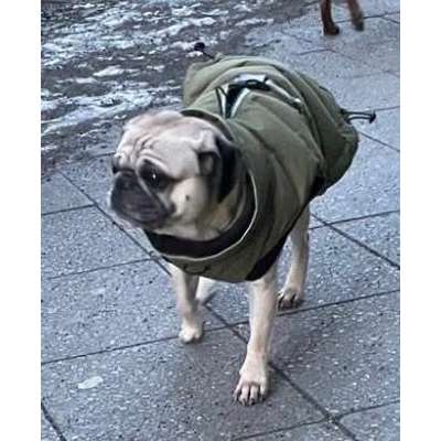 Suchmeldung-Duplo-Bild