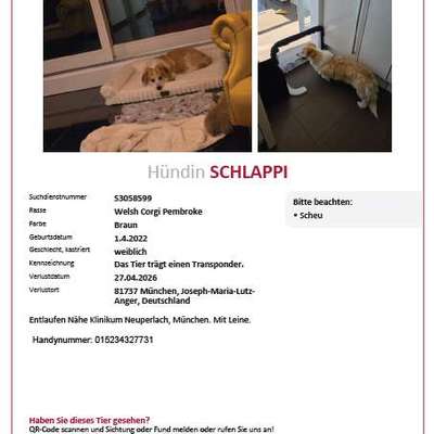 Suchmeldung-Schlappi-Bild