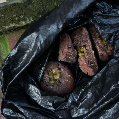 Giftköder-Evtl Giftköder-Bild