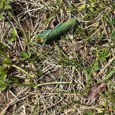 Giftköder-Giftköder -Bild