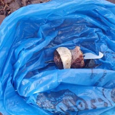 Giftköder-Giftköder gefunden -Bild