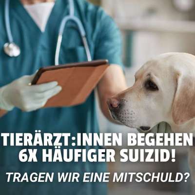 Tierärzt:innen begehen 6x so häufig Suizid – trägt unser Verhalten als Tierhalter:innen dazu bei?-Beitrag-Bild